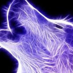 Meet your Posher, Blake